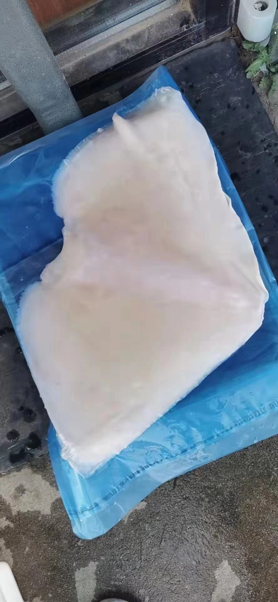 Frozen Squid Wing Skin off /Giant Wing/Illex Wing/Frozen Seafood