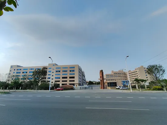 Wholesale Squid Manufacturer Frozen Giant Squid