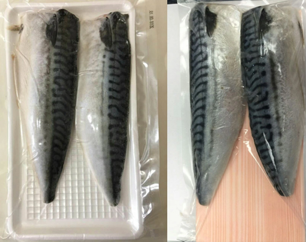 Top Quality Seafood of Frozen Norway Mackerel Fillets Vacuumed Packed or Packing by Bulk Bag