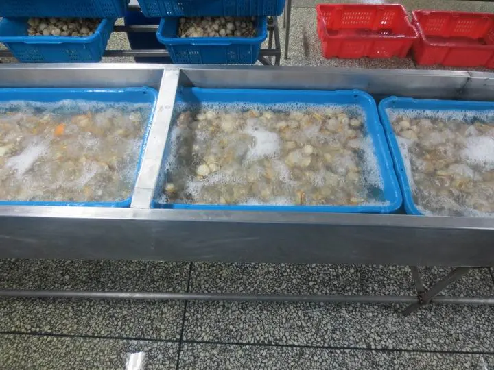 Frozen Whole Boiled Sea Scallop