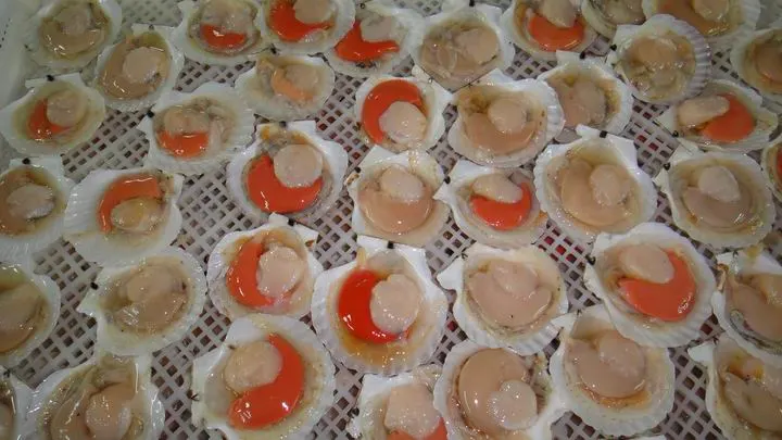 Frozen Half Shell Sea Scallop with Roe on