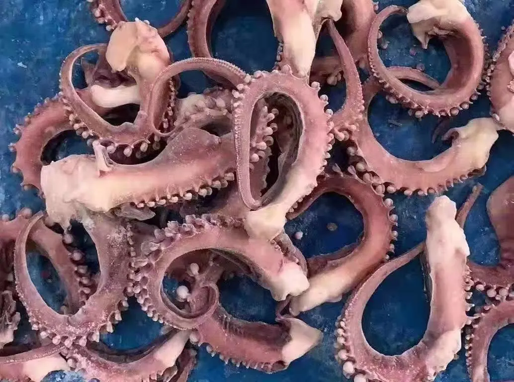 Frozen Squid Tentacle Strip Cut/ Giant Squid Tentacle/Gigas Squid Tentacle/Calamari Tentacle