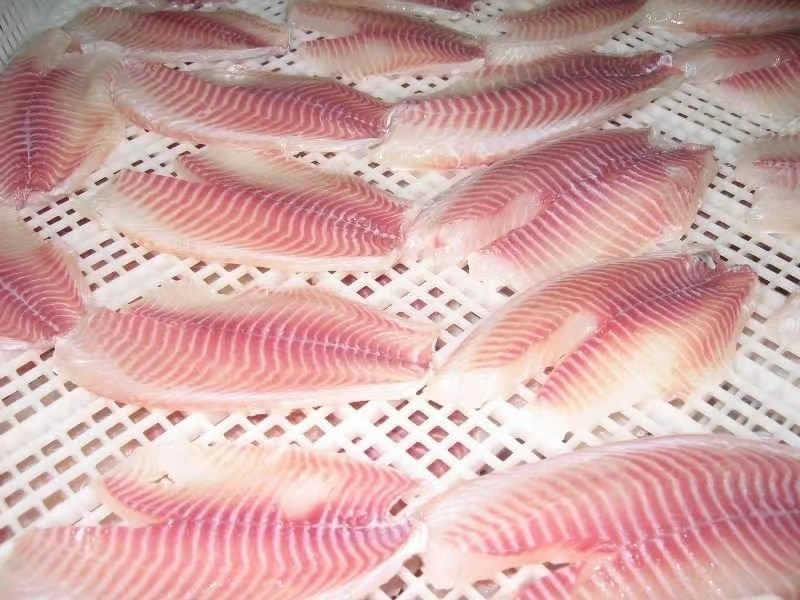 Frozen Seafood Tilapia Fillet (Oreochromis Niloticus)