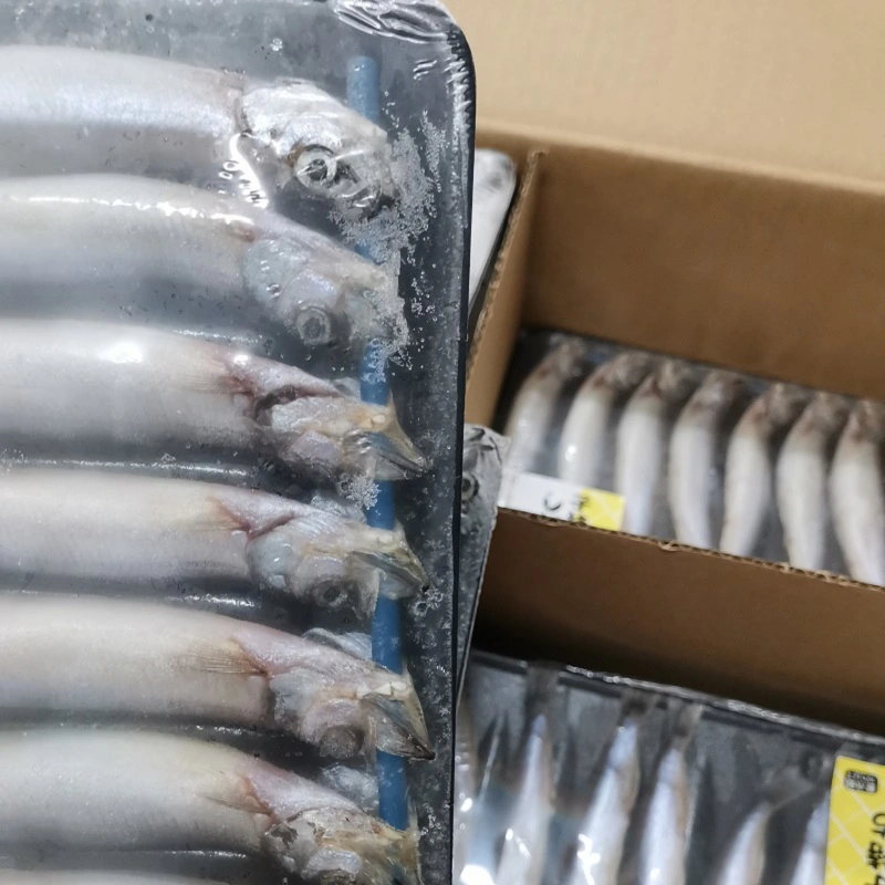 High Quality Frozen IQF/Bqf Capelin Fish for Sale Singapore Good Price