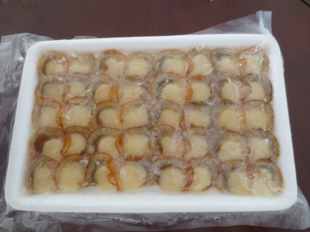 Frozen Boiled Sea Scallop Slice