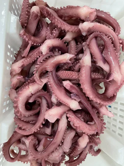 Gefrorene Tintenfischtentakel, Calamari, Calamar, Calmar, Pota, Illex-Tintenfischtentakel, Riesenkalmartentacle, Todarodes-Tintenfischtentakel